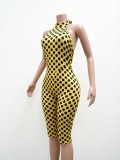 Women Spring/Summer Polka Dot Print Streetchy Halter Neck Backless Jumpsuit