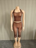 Women's Sexy High Stretch Glossy See-Through Halter Neck Top and Shorts Two Piece Club Set