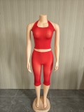 Women's Sexy High Stretch Glossy See-Through Halter Neck Top and Shorts Two Piece Club Set