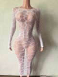 Women Sexy Mesh Dress