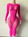 Women Sexy Mesh Dress