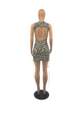Women's Summer Casual Leopard Print Dress