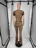 Women Printed Short Sleeve Top & Bell Bottom Pants Two‑Piece Set