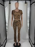 Women Printed Short Sleeve Top & Bell Bottom Pants Two‑Piece Set