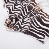 Women Sexy Leopard Print Mesh Long-Sleeve Top and Shorts Two-Piece Set