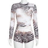 Women Sexy Leopard Print Mesh Long-Sleeve Top and Shorts Two-Piece Set