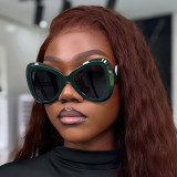 Large Frame Butterfly V-Shaped Sunglasses Sunglasses