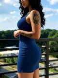 Women Solid Sleeveless Round Neck Stretchy Bodycon Mini Dress