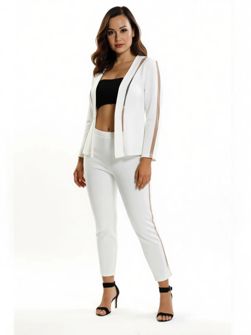Mesh Patchwork See-Through Blazer & Pants Two-Piece Set