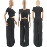 Women Autumn Solid Short-Sleeve Top and Wide-Leg Pants Two Piece Set