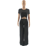 Women Autumn Solid Short-Sleeve Top and Wide-Leg Pants Two Piece Set
