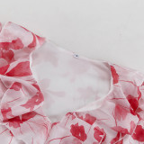 Women's Floral Print V-Neck Long Sleeve Slim-Waist A-Line Ruffle Dress