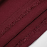 Women's Fall Fashionable Cowl Neck Long Sleeve Slim-Fit Casual Pants Two-Piece Set