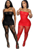 Women Sexy Mesh Top & Tights Two Piece Set