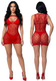 Women's Plus Size Sexy See-Through Leopard Print Cutout Bodycon Mini Dress