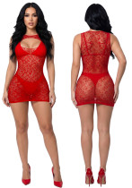 Women's Plus Size Sexy See-Through Leopard Print Cutout Bodycon Mini Dress Women's Plus Size Sexy See-Through Leopard Print Cutout Bodycon Mini Dress