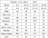 Women's Mesh Round-Neck Long-Sleeve Slim-Waist Slim-Fit Sexy Bodycon Mini Dress