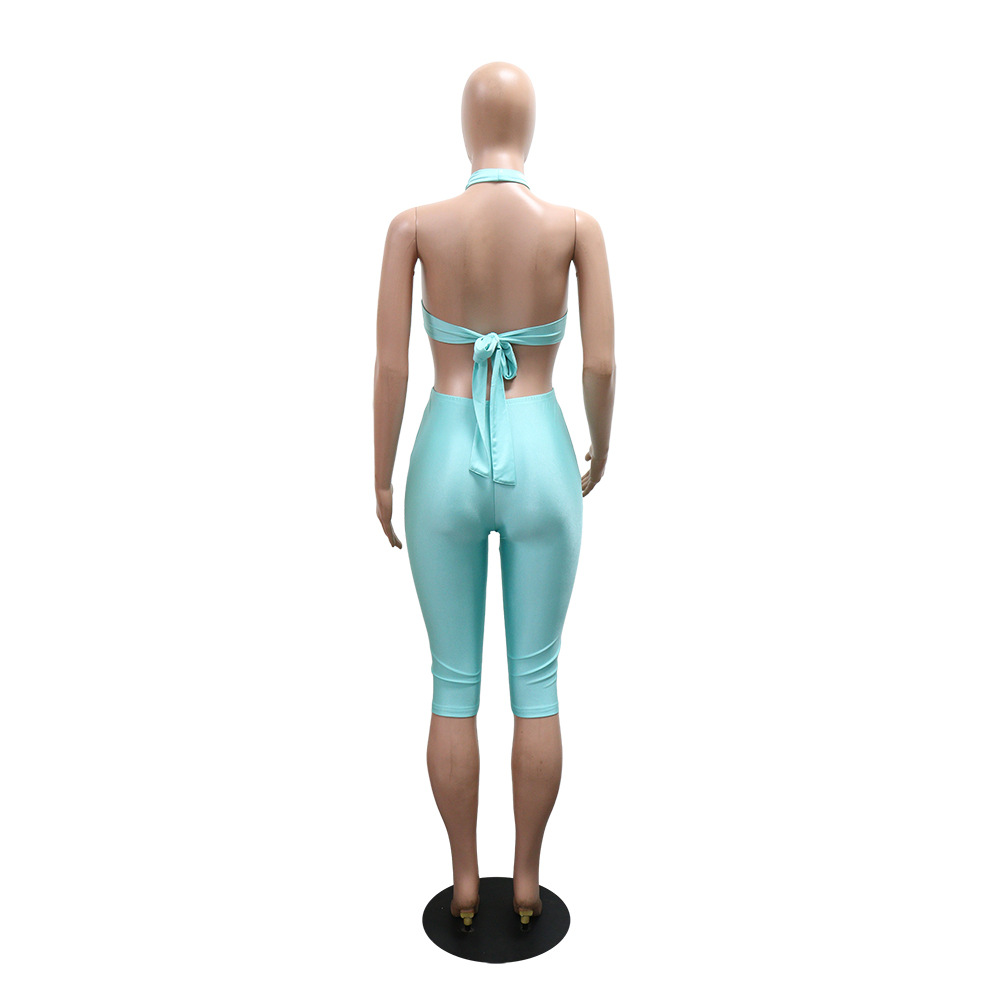 Halter Neck Backless Jumpsuit for Party Wear
