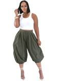 Women’s Fashion Casual Elastic Waist Lantern Harem Pants with Side Zipper