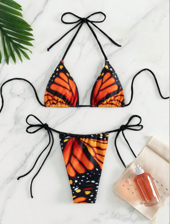 Butterfly Print Lace-Up Two-Piece Bikini Swimsuit