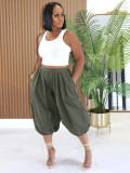 Women’s Fashion Casual Elastic Waist Lantern Harem Pants with Side Zipper