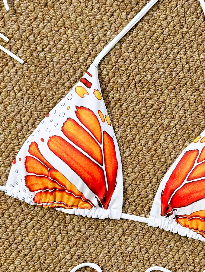 Butterfly Print Lace-Up Two-Piece Bikini Swimsuit
