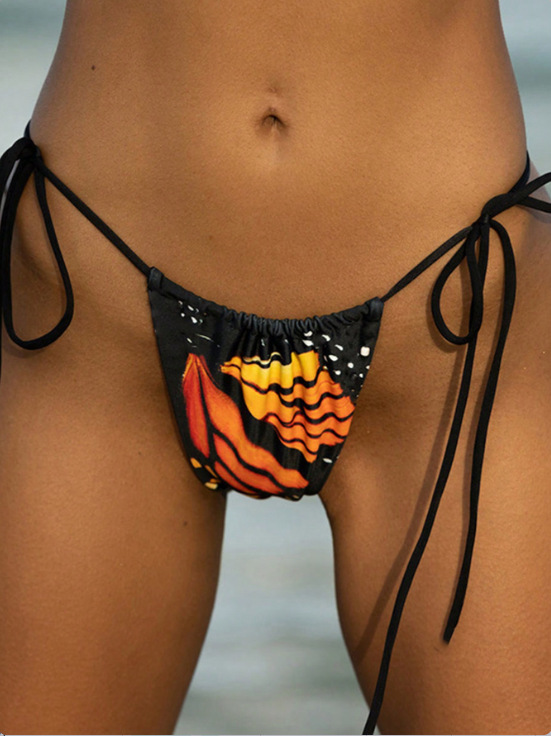Butterfly Print Lace-Up Two-Piece Bikini Swimsuit