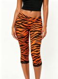 Women’s Y2K Zebra Print Low Rise Lace Trim Slim Fit Stretch Basic Pants