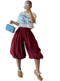 Women’s Fashion Casual Elastic Waist Lantern Harem Pants with Side Zipper