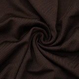 Fall Winter Women’s Casual Solid Color Deep V Neck Long Sleeve Ruched Slim Fit Mini Dress