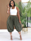Women’s Fashion Casual Elastic Waist Lantern Harem Pants with Side Zipper