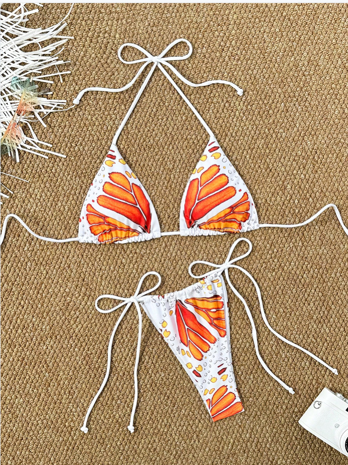 Butterfly Print Lace-Up Two-Piece Bikini Swimsuit