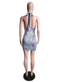 Women Spring/Summer Sexy Halter Neck Bodycon Dress