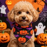 Halloween Pet Bandana with Skeleton and Spider Web Print for Dogs