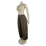 Career Casual Loose Wide-Leg Pants