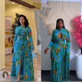 Women’s Long Sleeve Mesh Sexy Tie Dye Printed Evening Gown