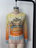 Women’s Gradient Palm Tree Print Long Sleeve Mesh Slim Fit Cropped T-Shirt