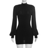 Women’s Solid Color Mock Neck Long Sleeve Slim Fit Sexy Bodycon Mini Dress