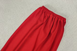 Women’s Spring Fall Casual Solid Color Round Neck Long Sleeve Loose Pleated A-Line Dress