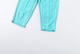 Women Summer Metallic Halter Neck Backless Top & Pants Two Piece Set