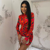 Women's Ruched Slim Fit Bodycon Stretch Round Neck Long Sleeve Printed Mini Dress