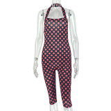 Women's Stylish Low Back Sporty Streetwear Stretch Halter Neck Sleeveless Jumpsuit