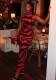 Women's Black Print Chic Color Block Bodycon Elegant High Neck Sleeveless Long Dress