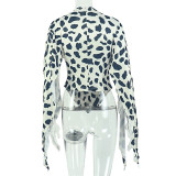 Women's Loose Casual Leopard Print V Neck Long Sleeve Asymmetrical Top