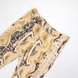 Women Animal Print Round Neck Long Sleeve Top & Capri Pants Two Piece Set