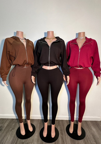 Women’s Casual Stretch Slim Fit Athletic Top and Pants Two-Piece Set