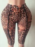 Women’s Fashion Leopard Print Mesh Pants