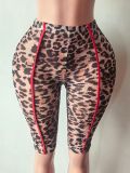 Women’s Fashion Leopard Print Mesh Pants