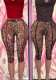 Women’s Fashion Leopard Print Mesh Pants
