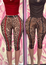 Women’s Fashion Leopard Print Mesh Pants Women’s Fashion Leopard Print Mesh Pants